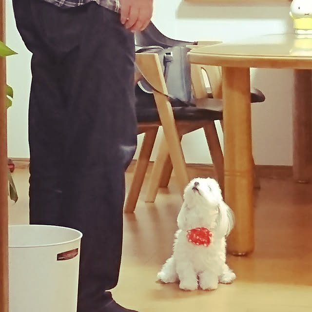 hanamilkoさんの実例写真