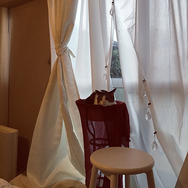 Shihoさんの実例写真