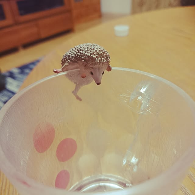 megmeg1450さんの実例写真