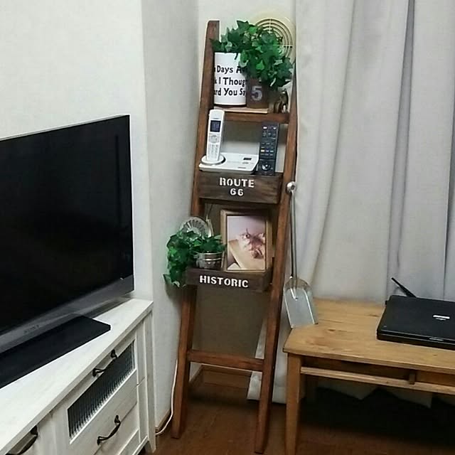 DS250さんの実例写真