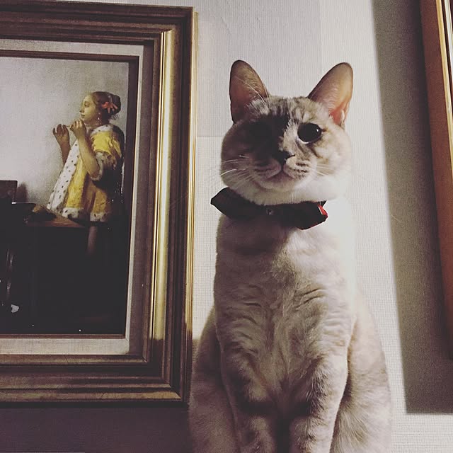 Naoki.さんの実例写真