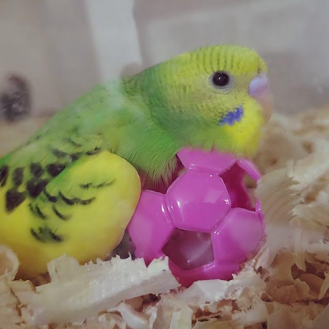 nanaさんの実例写真