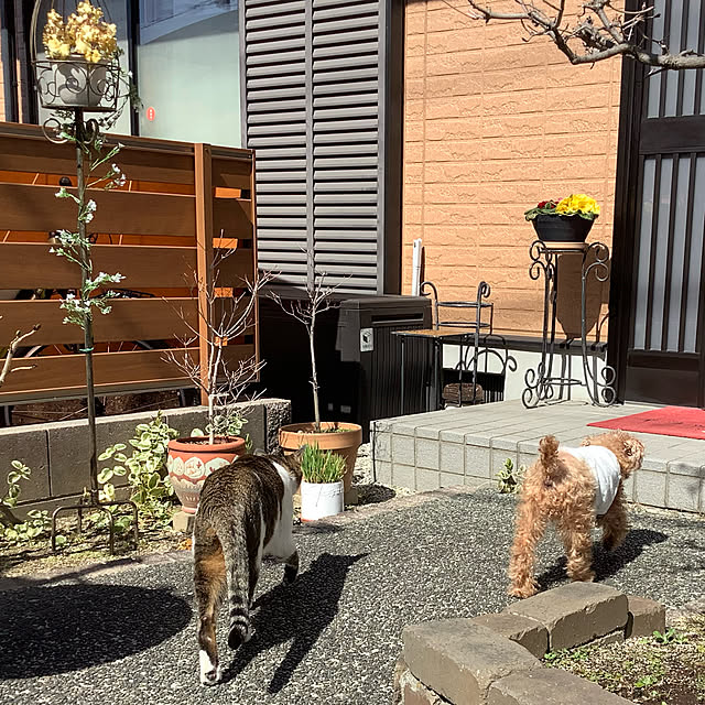 haruminさんの実例写真