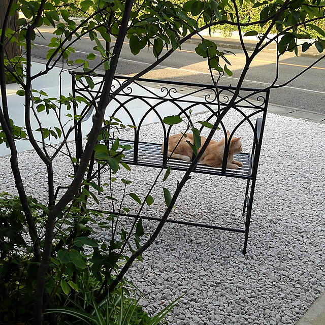 mamenokicafeさんの実例写真