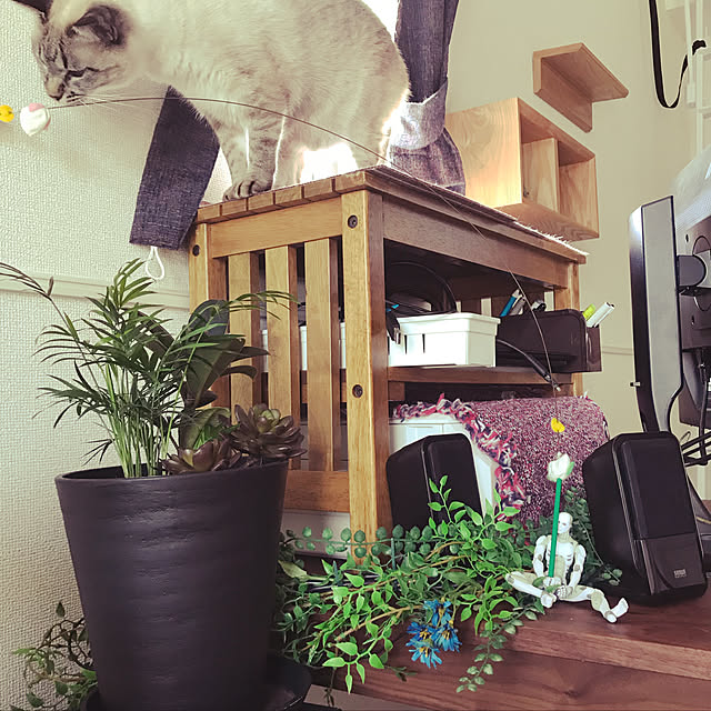 aluminumさんの部屋