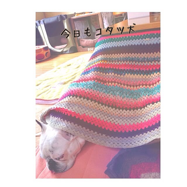 38coreさんの実例写真
