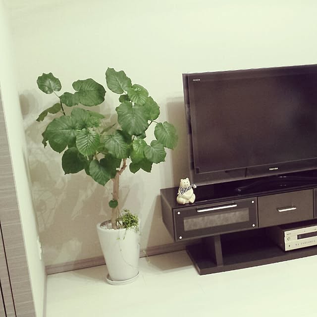 Natsukoさんの実例写真