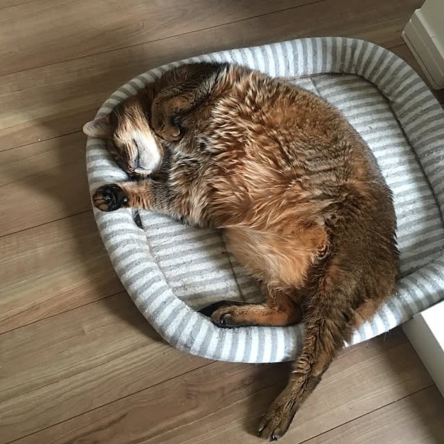 muuさんの実例写真