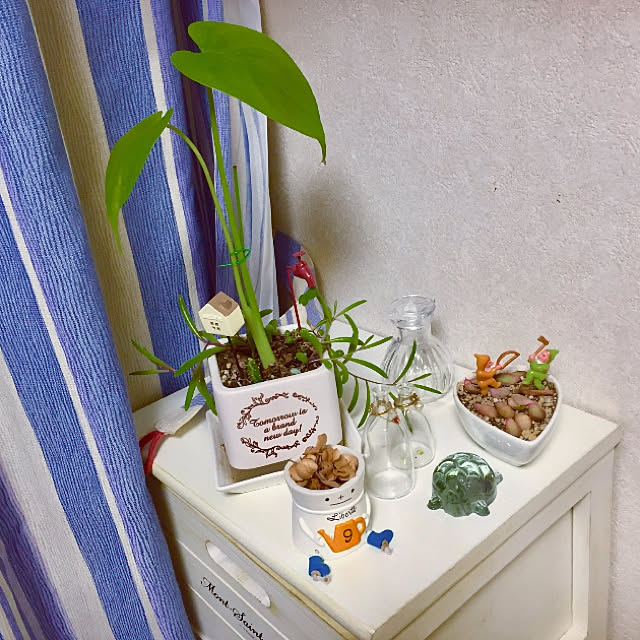 takakoさんの実例写真