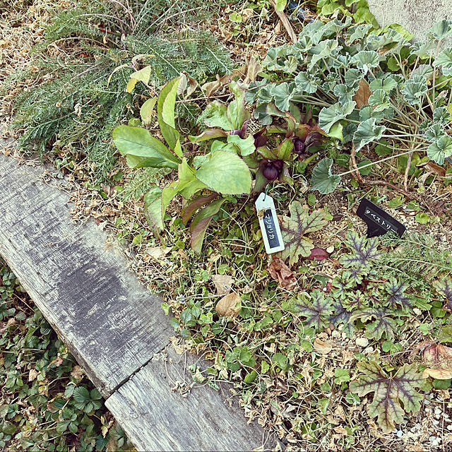 yukkoさんの実例写真
