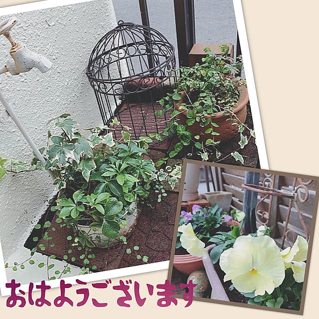 mii-tanさんの実例写真