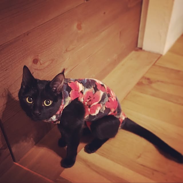 kayuraさんの実例写真