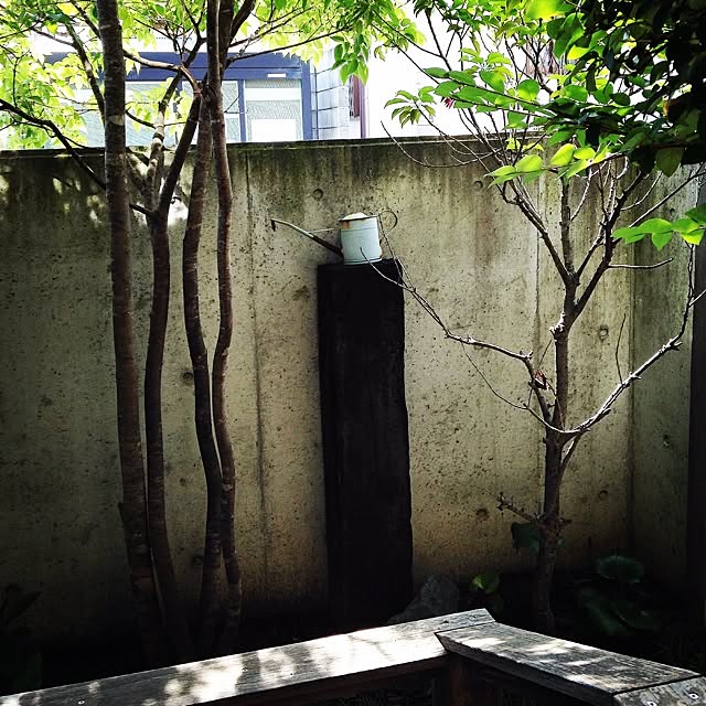 utataneさんの実例写真