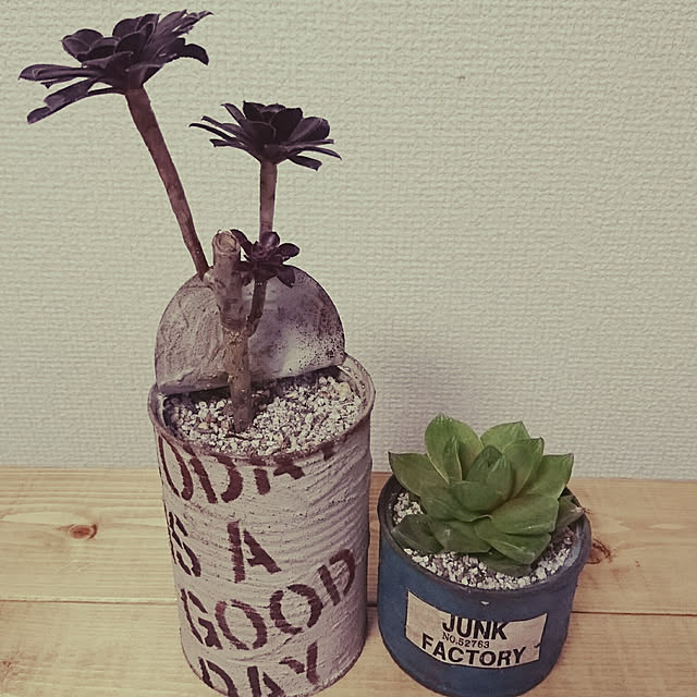 buuさんの実例写真