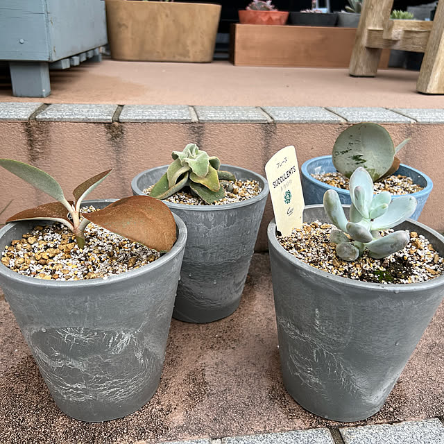 Satoさんの実例写真
