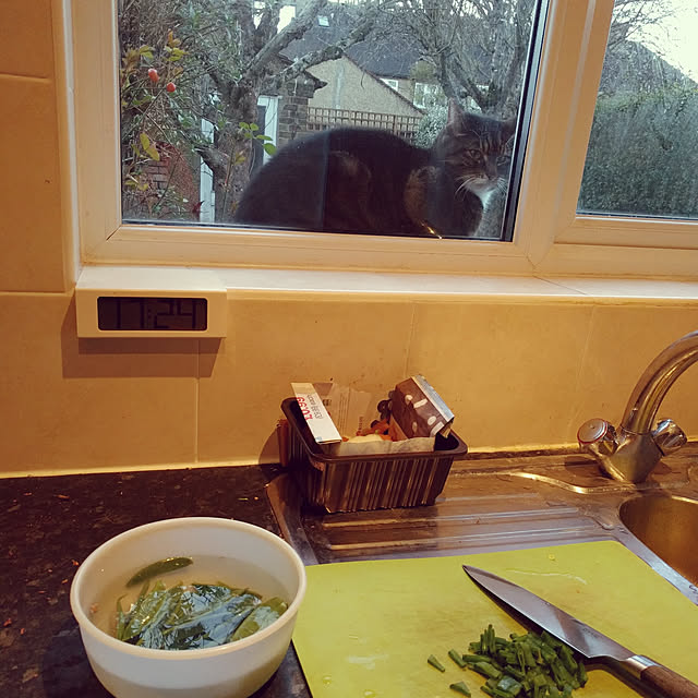 Arriettyさんの実例写真