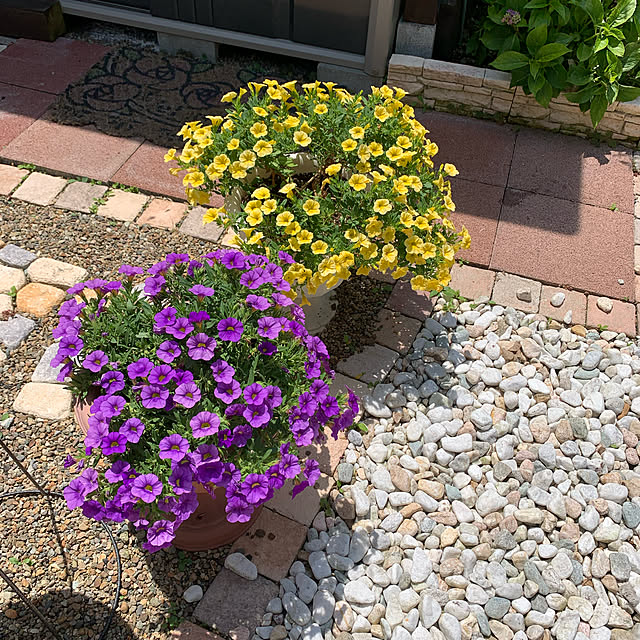 ROSEさんの実例写真