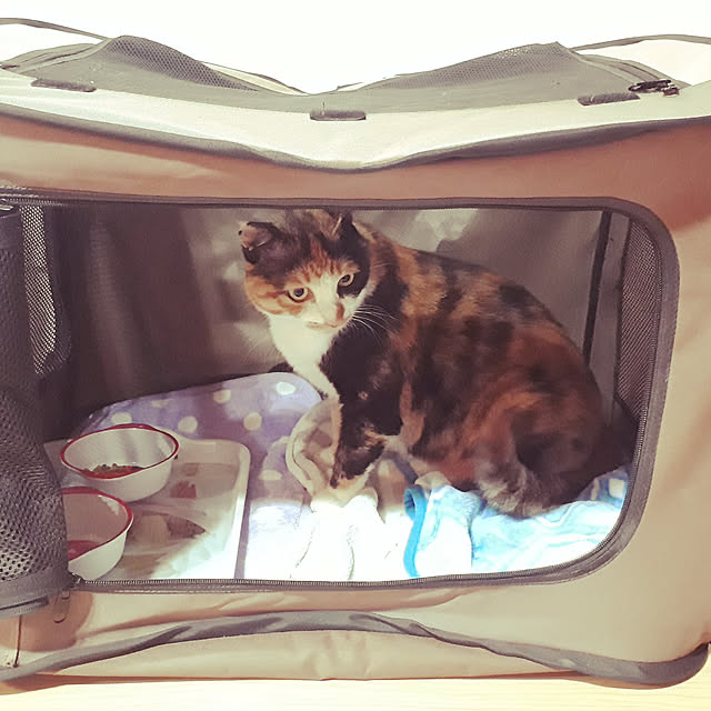 aiさんの実例写真