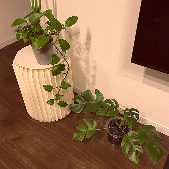 iwashiさんの実例写真