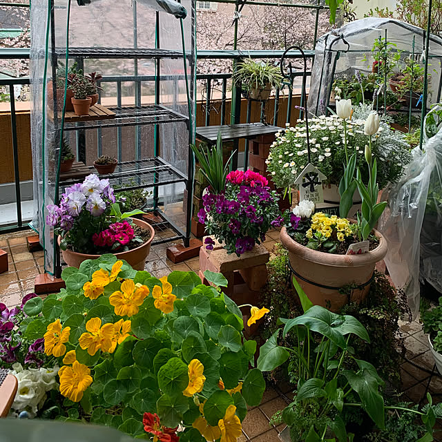 Aqettyさんの部屋