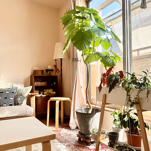 masumiさんの部屋