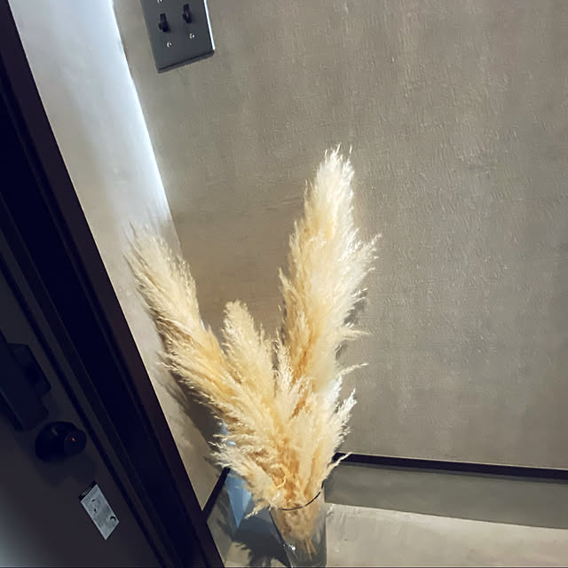 azk.121さんの実例写真