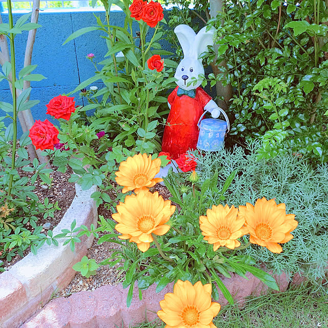 Miyumamaさんの実例写真