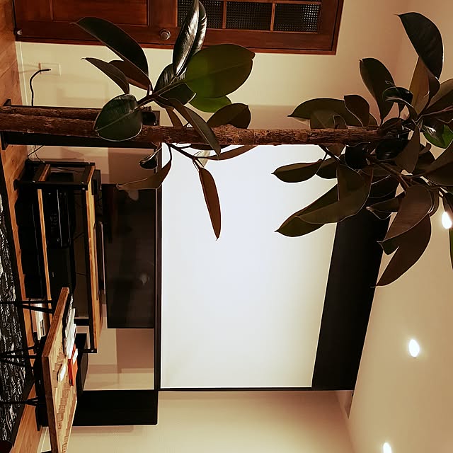 n06k27さんの実例写真
