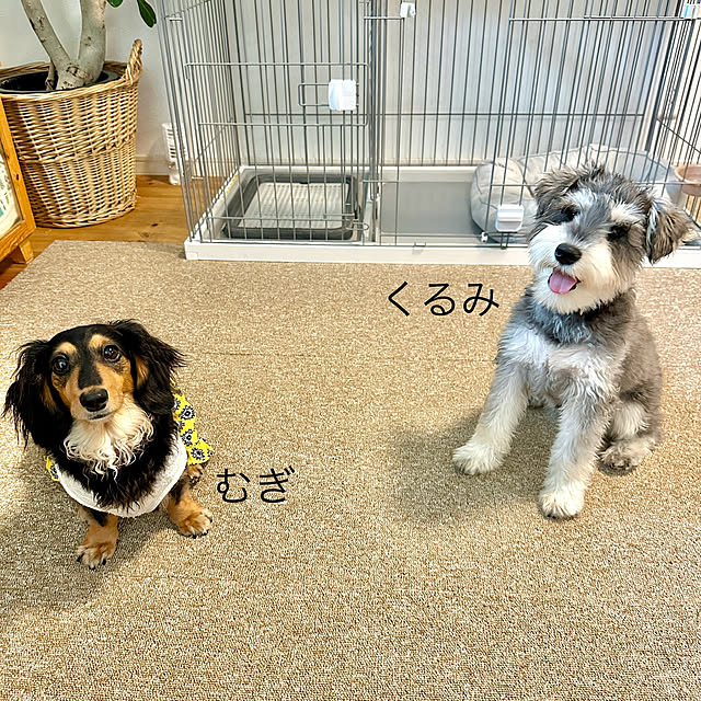 Erinさんの部屋