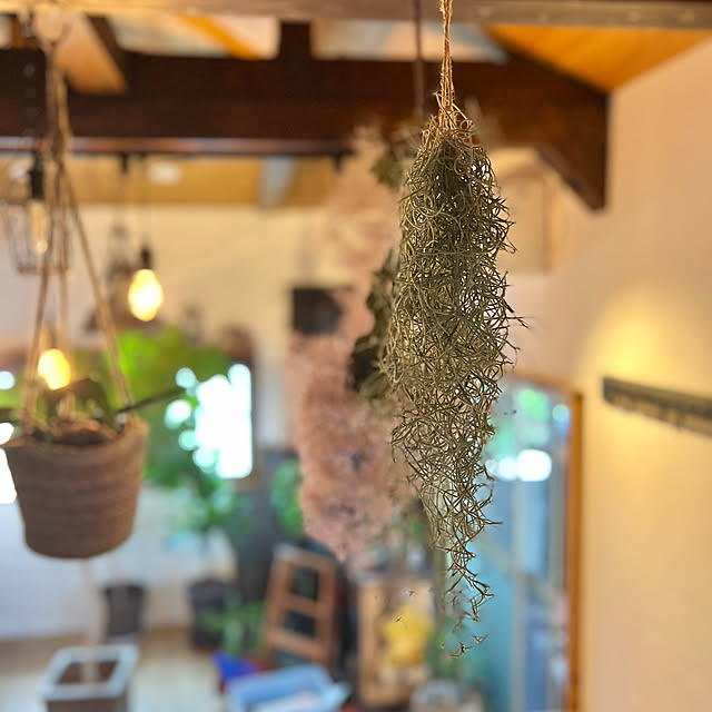 maronさんの部屋