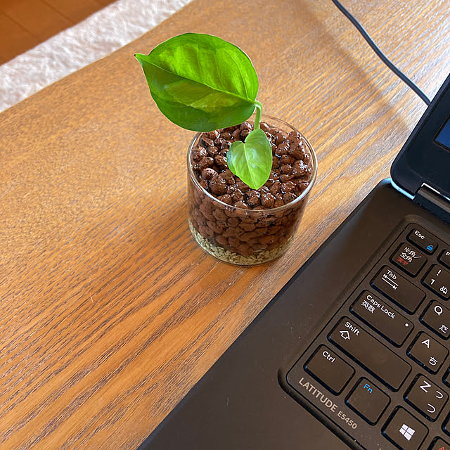 hiromiさんの部屋