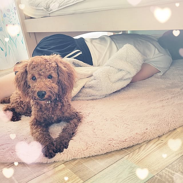 mimi828さんの実例写真