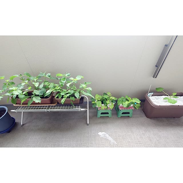 ToReTaRiさんの部屋