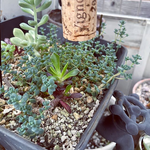 satokoさんの部屋