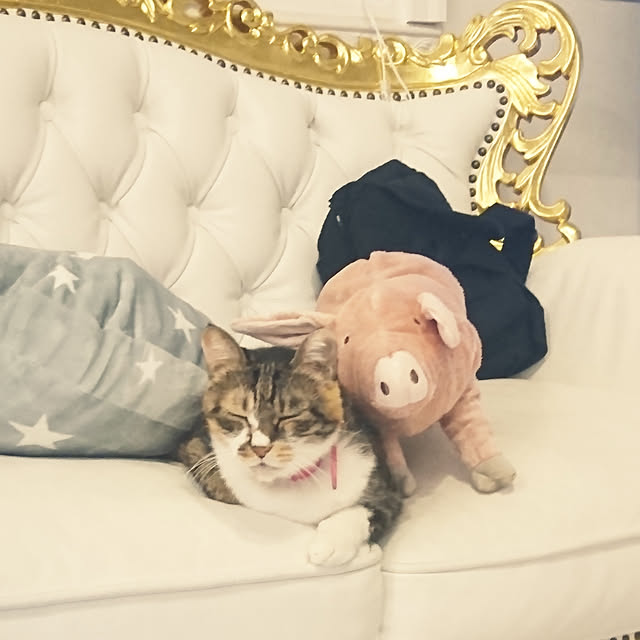 kingandqueenさんの実例写真