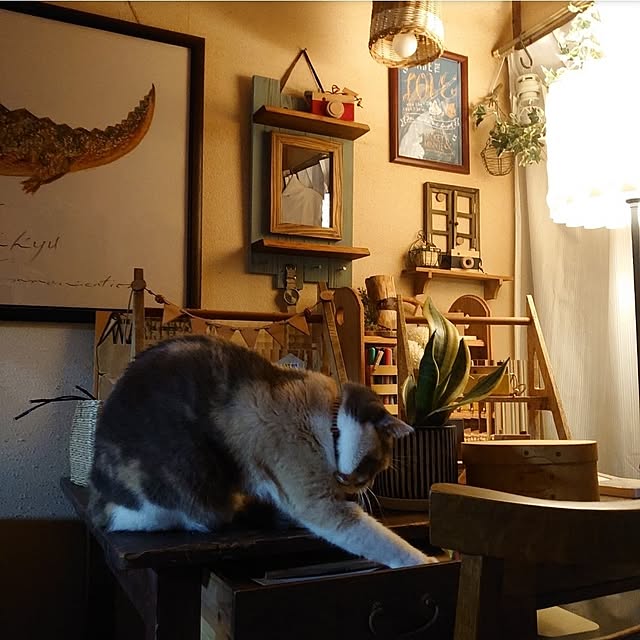 fukuさんの部屋