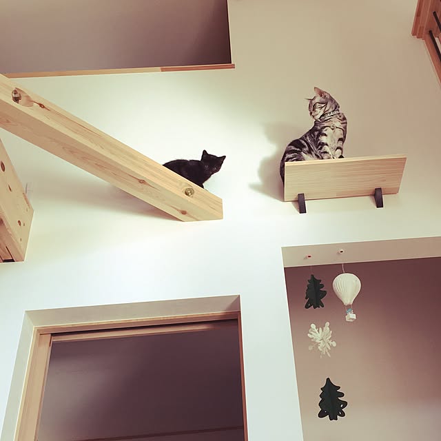 Hirahiraさんの実例写真