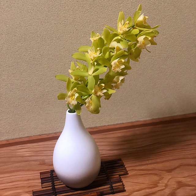 sakakenさんの実例写真