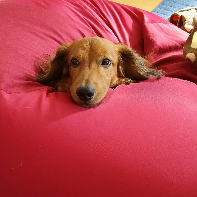 woody-natsu-aoさんの実例写真