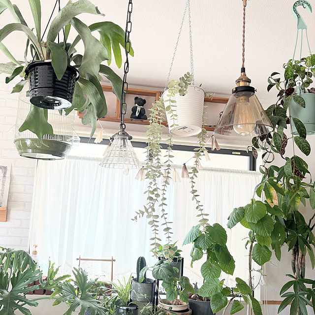 hirariさんの部屋