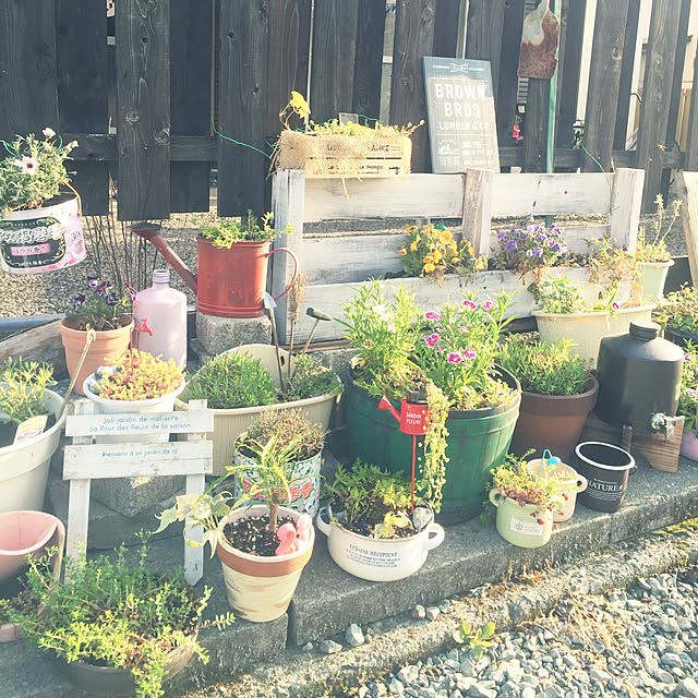 sei.kan.hede.chiyoさんの実例写真