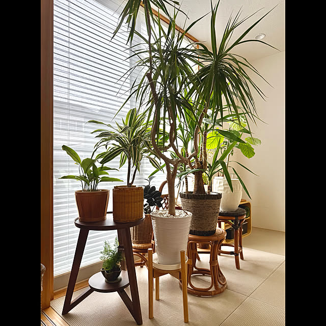 tamabaka1971さんの部屋