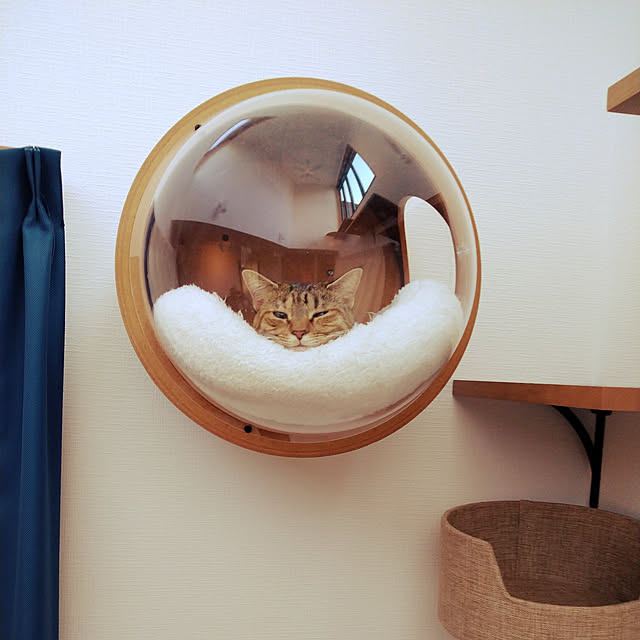 mochicoさんの実例写真