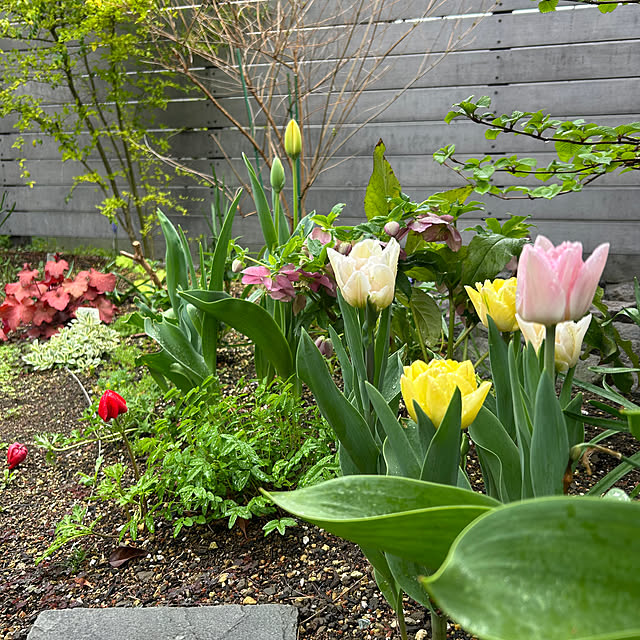 yuzさんの実例写真