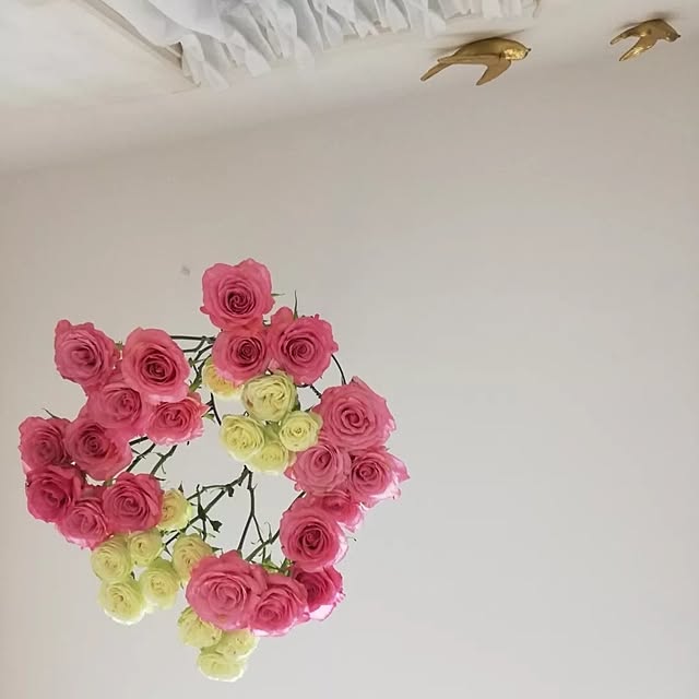 fumitanさんの部屋