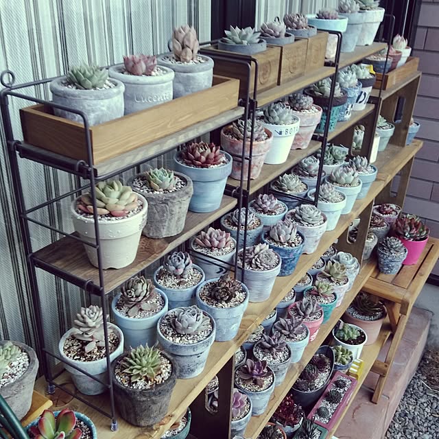 j.tさんの実例写真
