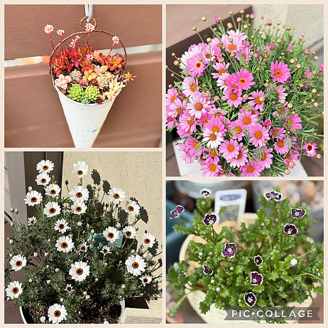 yukkoさんの部屋