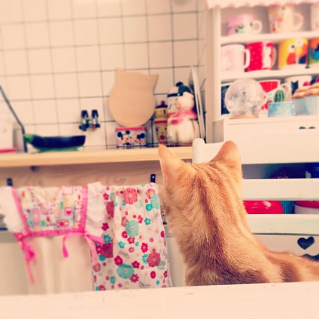 Sueさんの実例写真