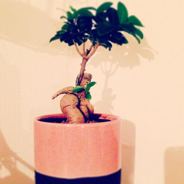 asakoさんの実例写真