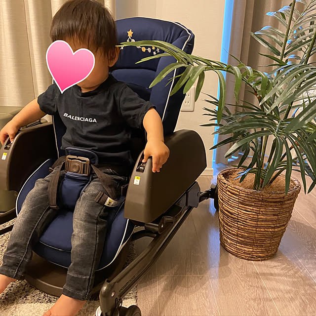 asamiさんの実例写真
